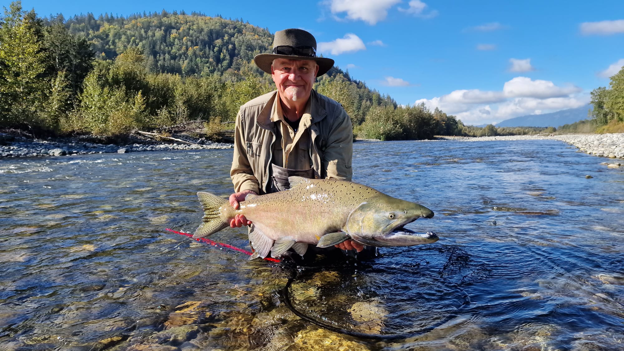 %Fiskerejser efter Laks, ørred og stør% Kongelaks i Chilliwack